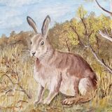 Oil on canvas hare rabbit