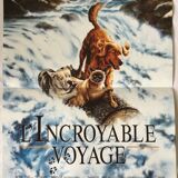 Poster of the film "The Incredible Journey"
