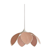 Suspension lotus