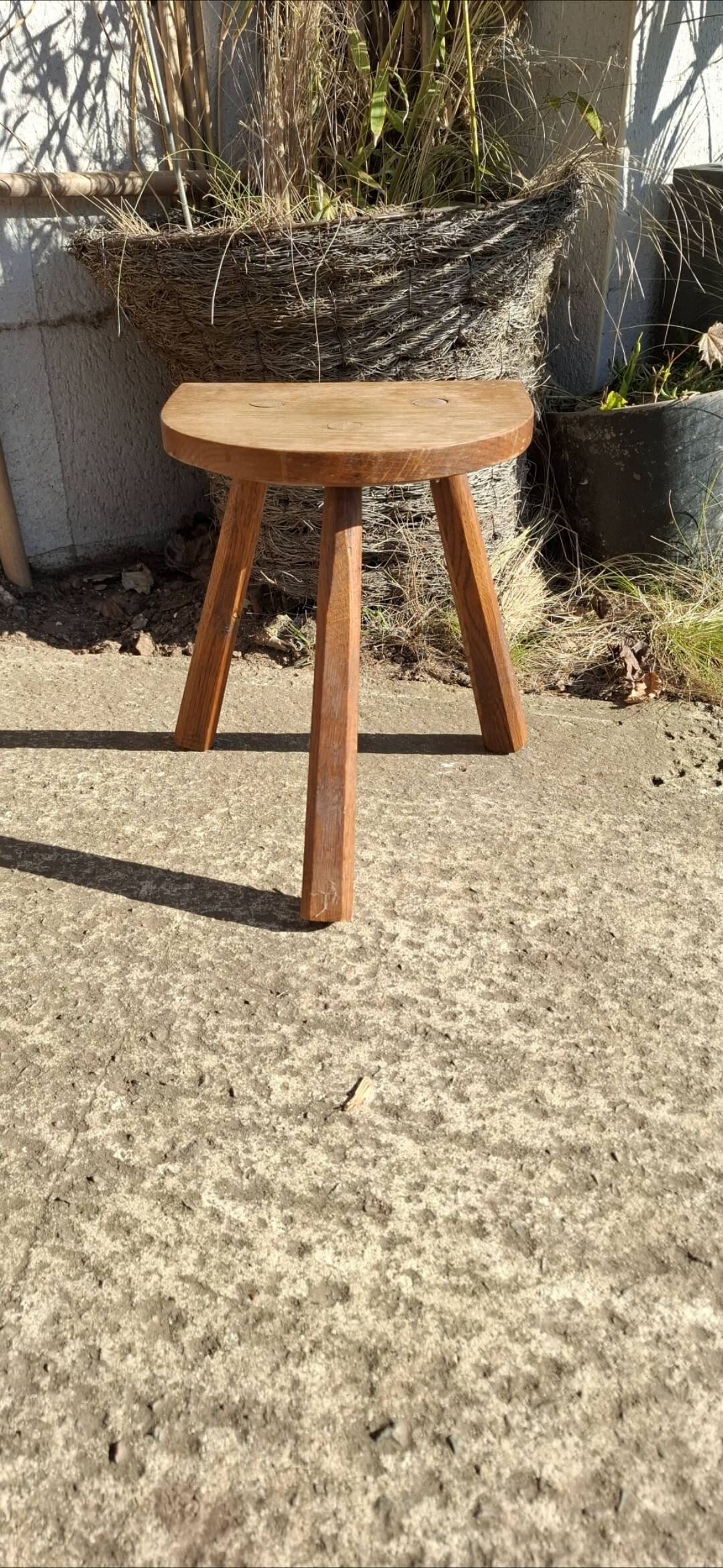 Oak tripod