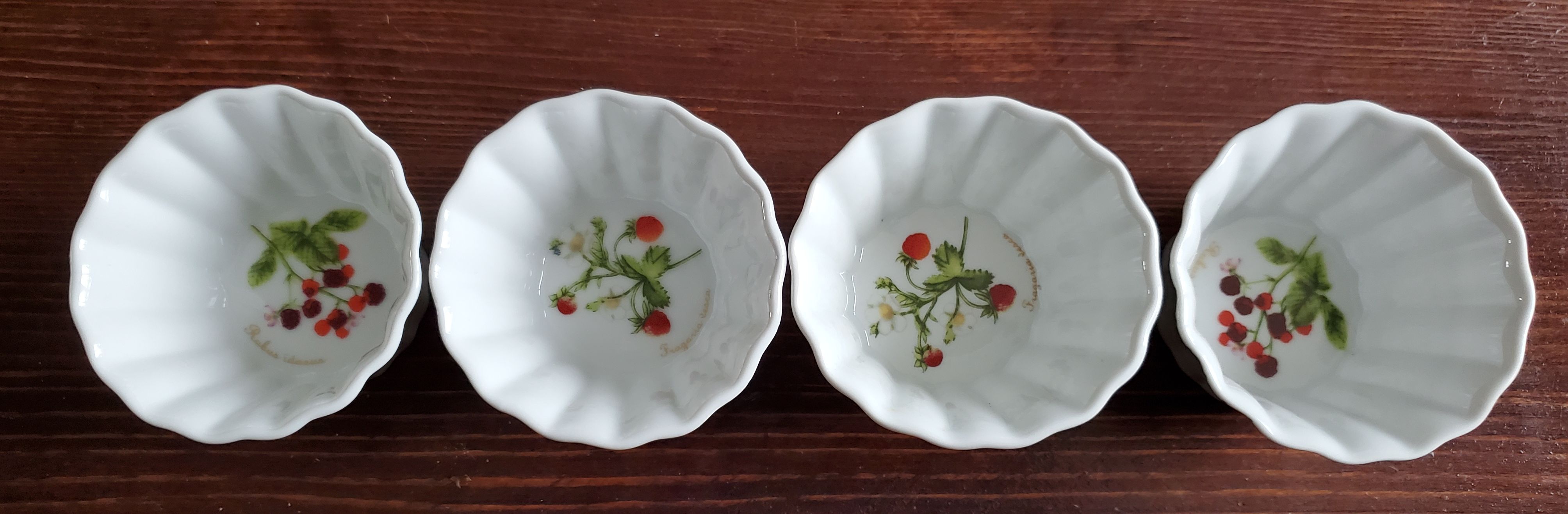 4 Ramekins tognana the terrine Botaniche