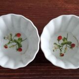 4 Ramekins tognana the terrine Botaniche