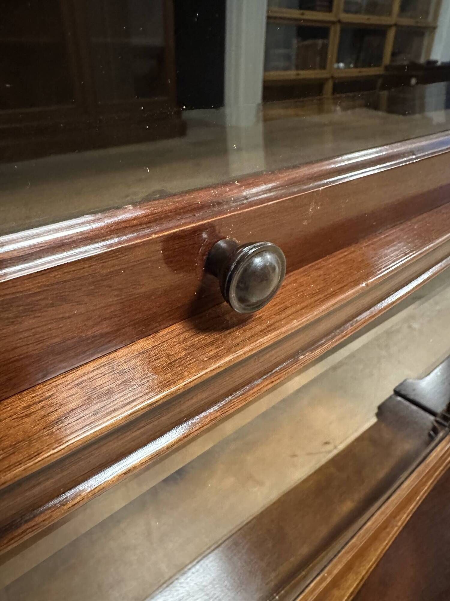 Special Globe Wernicke Bookcase