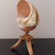 Shell lamp 50s