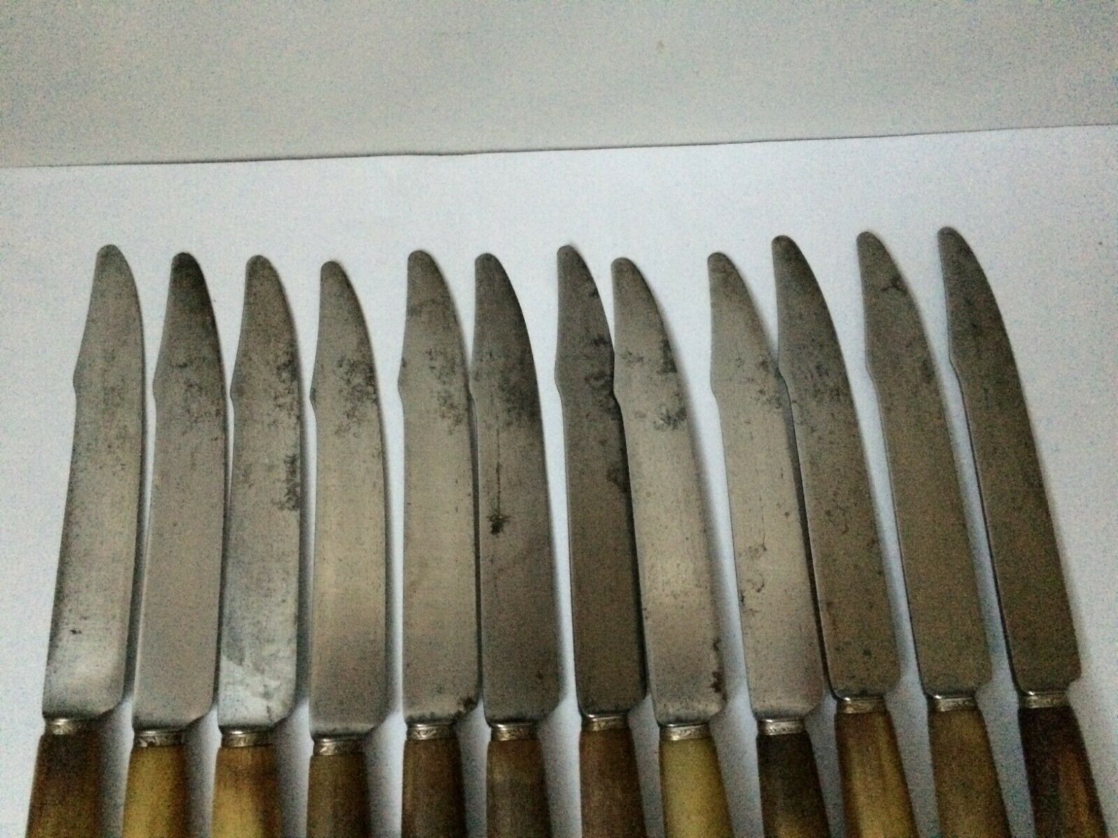 Set of 12 large knives and 11 horn and steel dessert knives