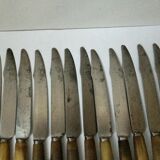 Set of 12 large knives and 11 horn and steel dessert knives
