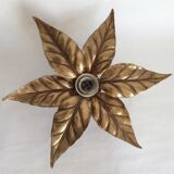 Wall light leaves by Willy Daro, 70s