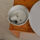 Arne Jacobsen for Poulsen AJ Eklipta glass wall or ceiling light