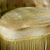 Armchair yellow toad