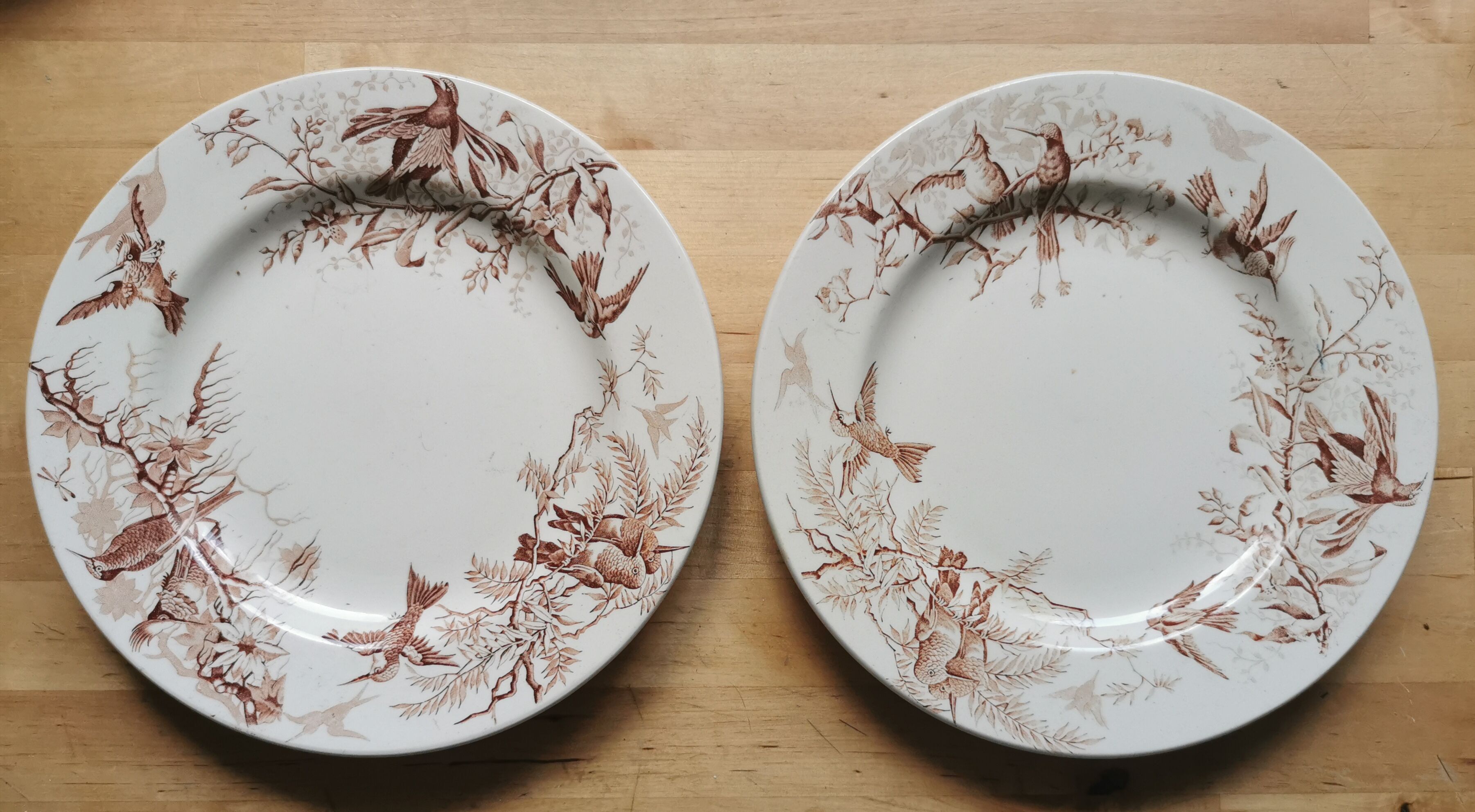 Lot of 8 Colibri luneville plates