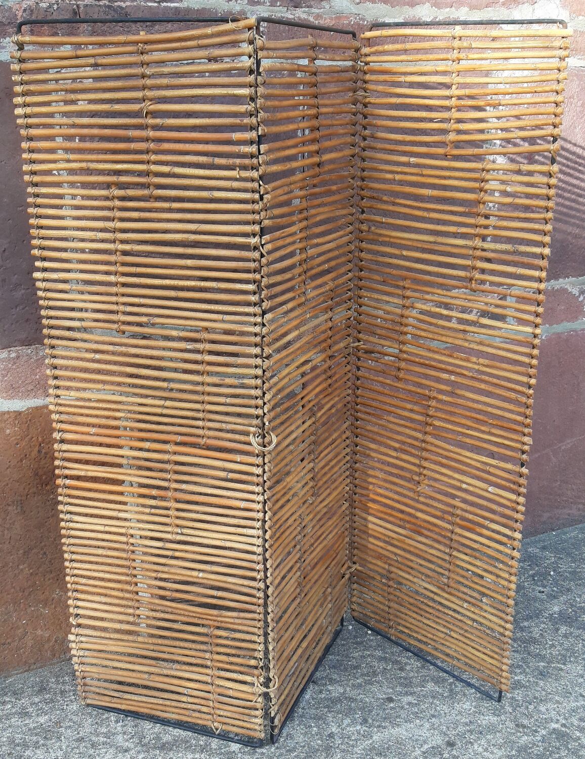 Bamboo screen year 60
