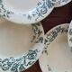 Seven hollow plates Terre de fer de Salins
