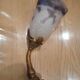 Old glass paste tulip wall light