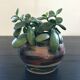 Unique, signed plant pot