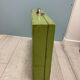 Green painter's case