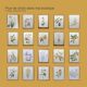 Illustration de plantes médicinales et herbes