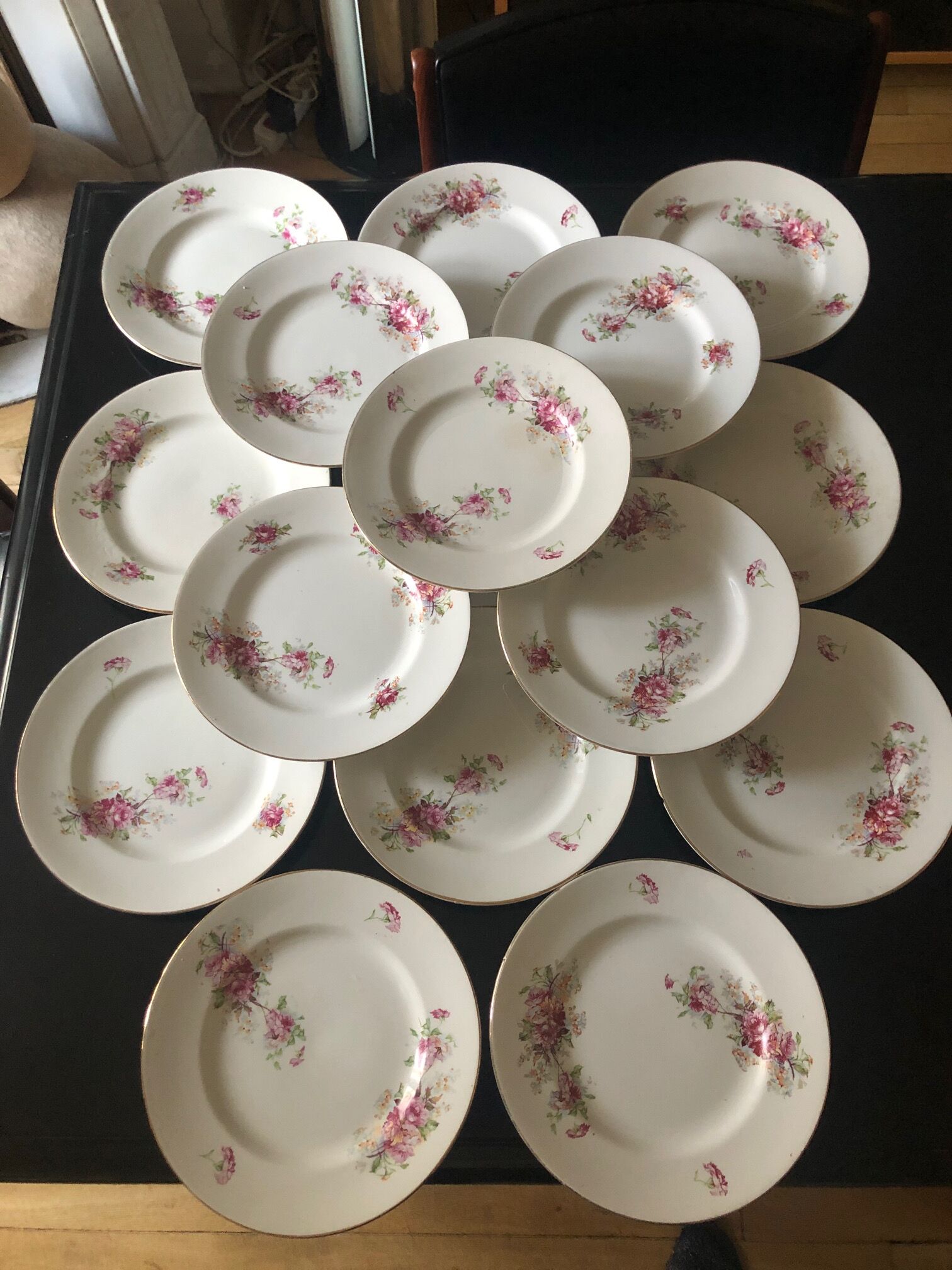 16 plates earth of iron Saint Amand