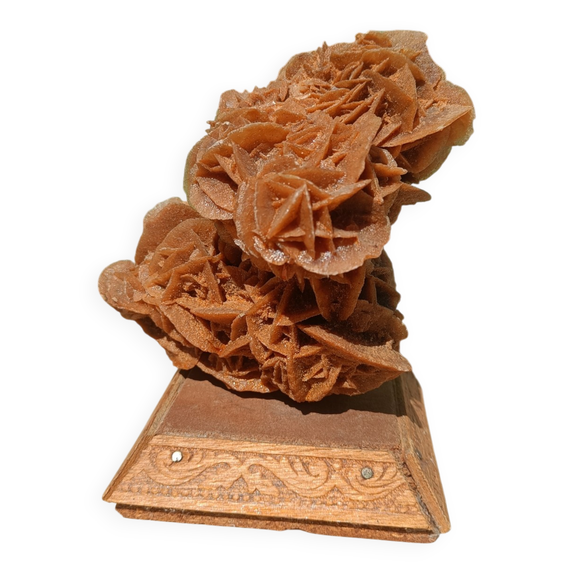 Rose des sables sur socle