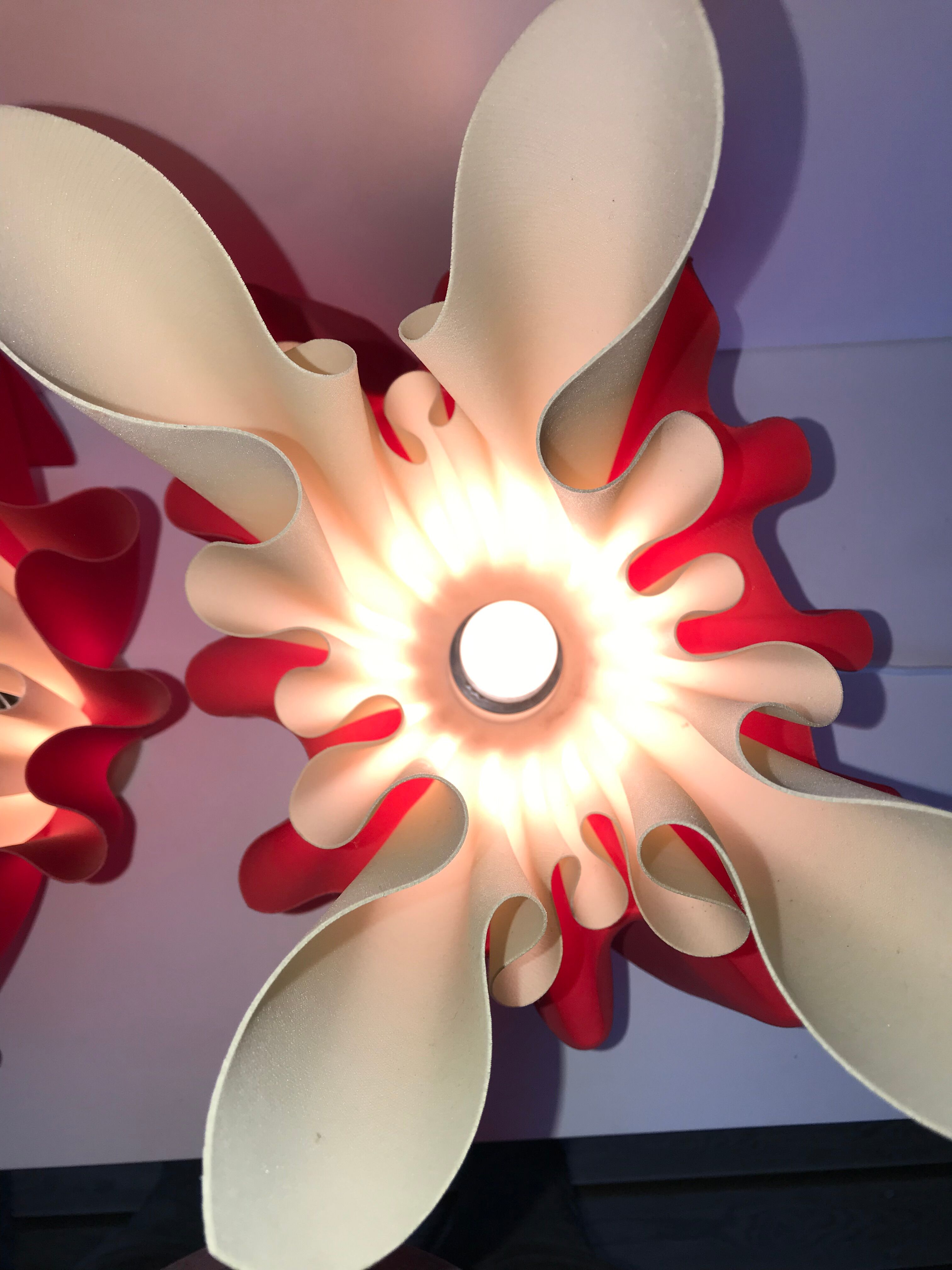 Pair of two-tone handkerchief lamps