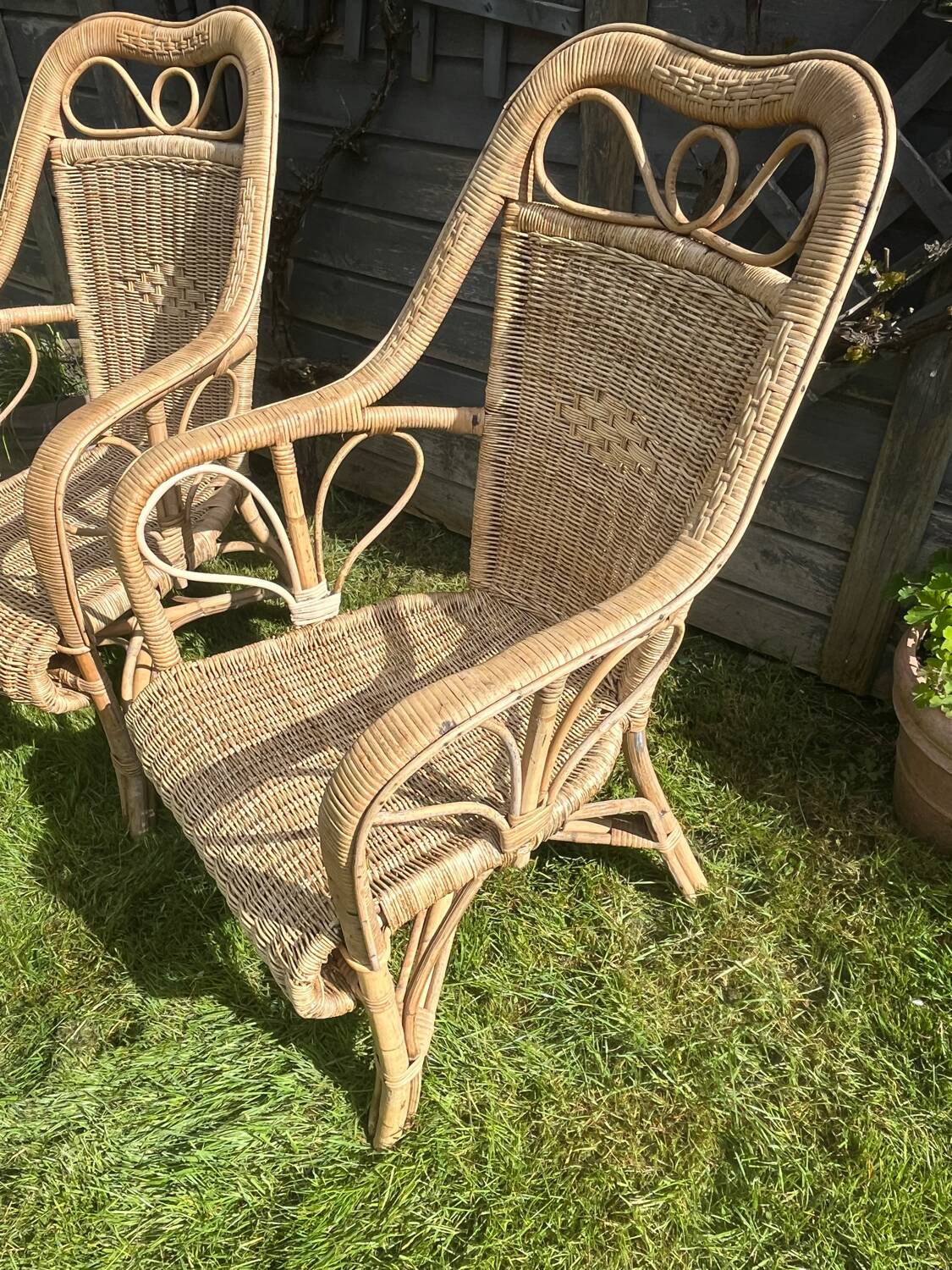 Rattan armchair duo