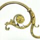 CVW Rococo Large French Wall Sconce Brown
