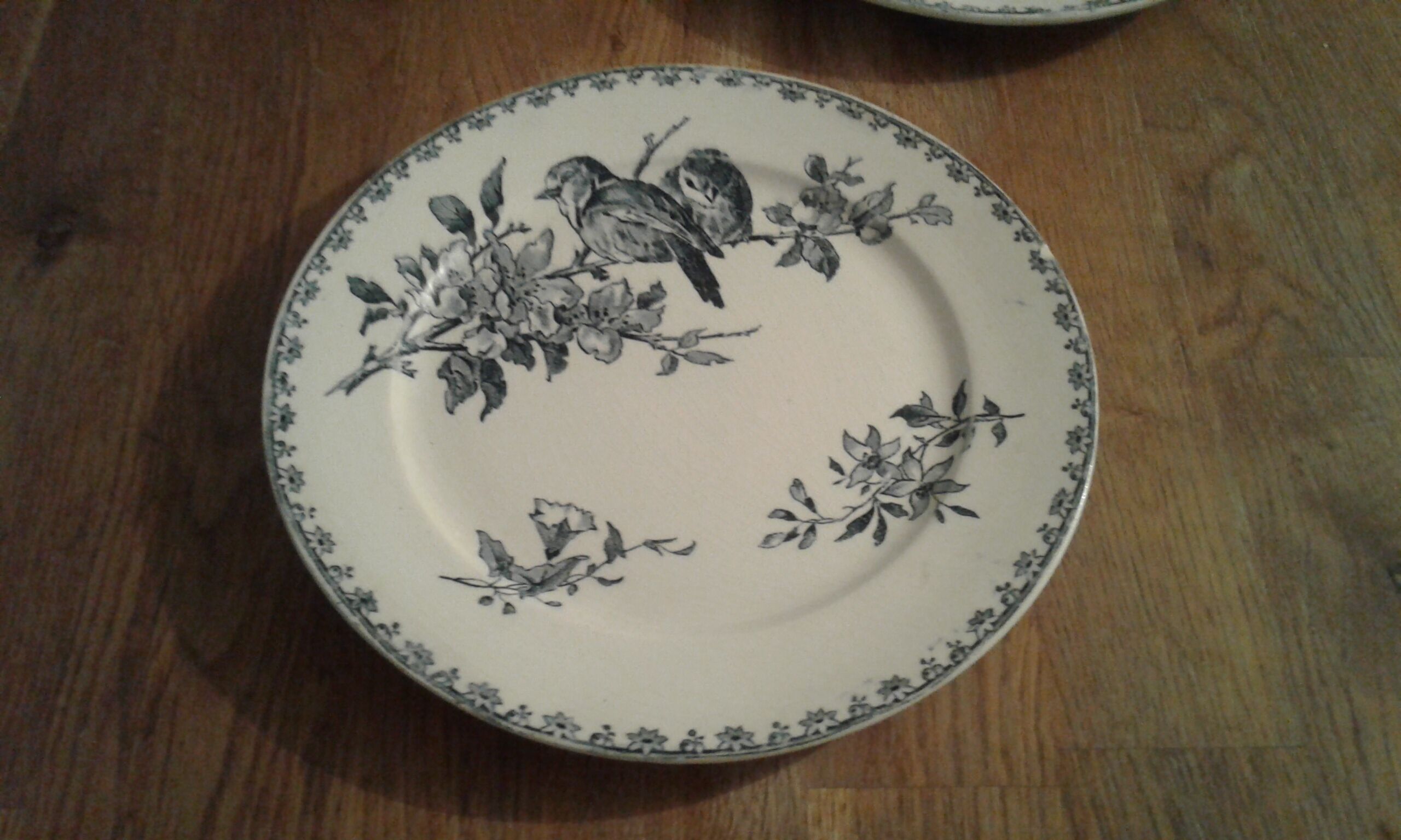 Assiette décors oiseaux