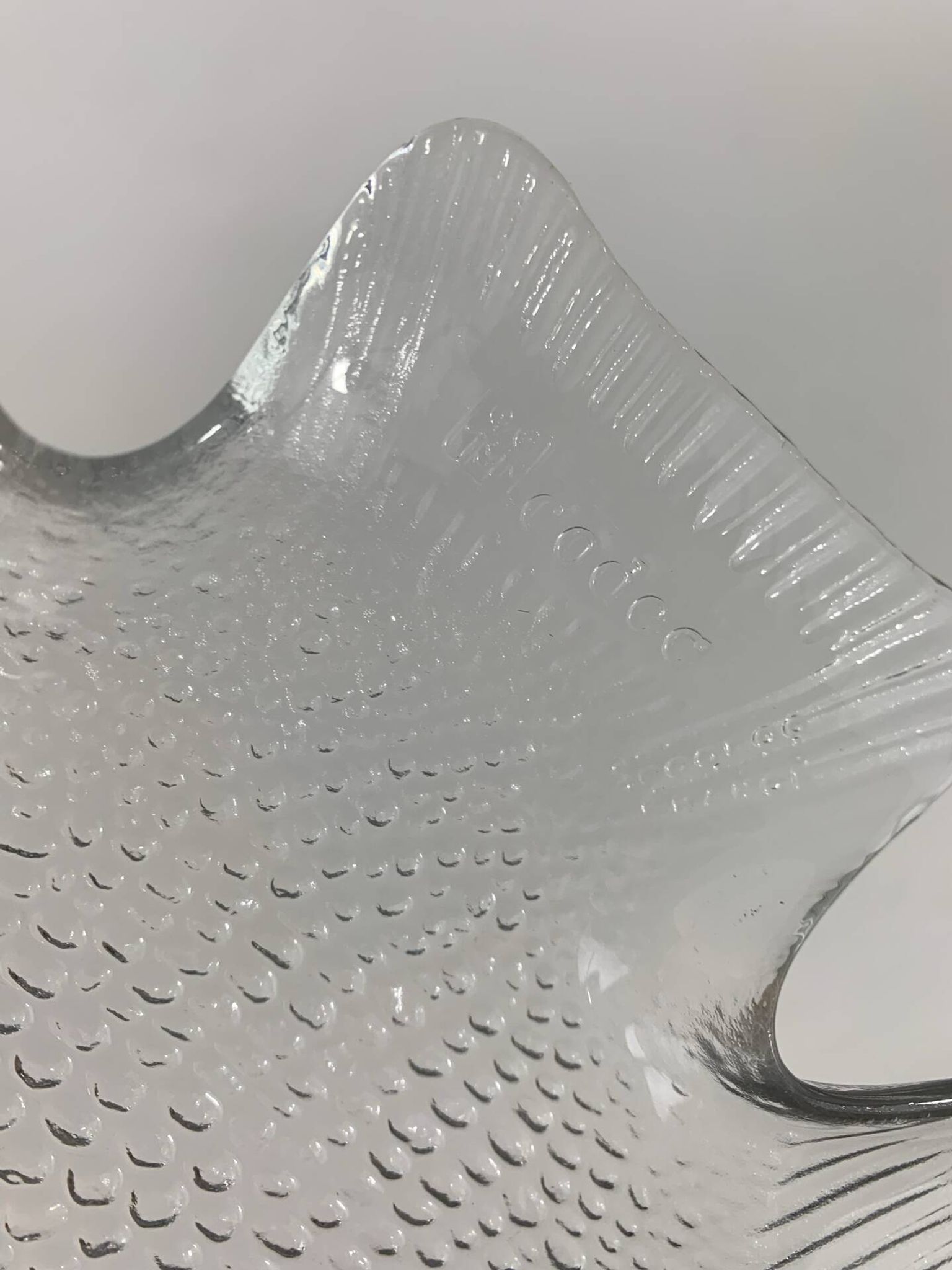 Arcoroc dishes for Codec