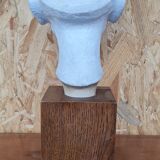 Bust of Nefertiti Louvre Museum Paris