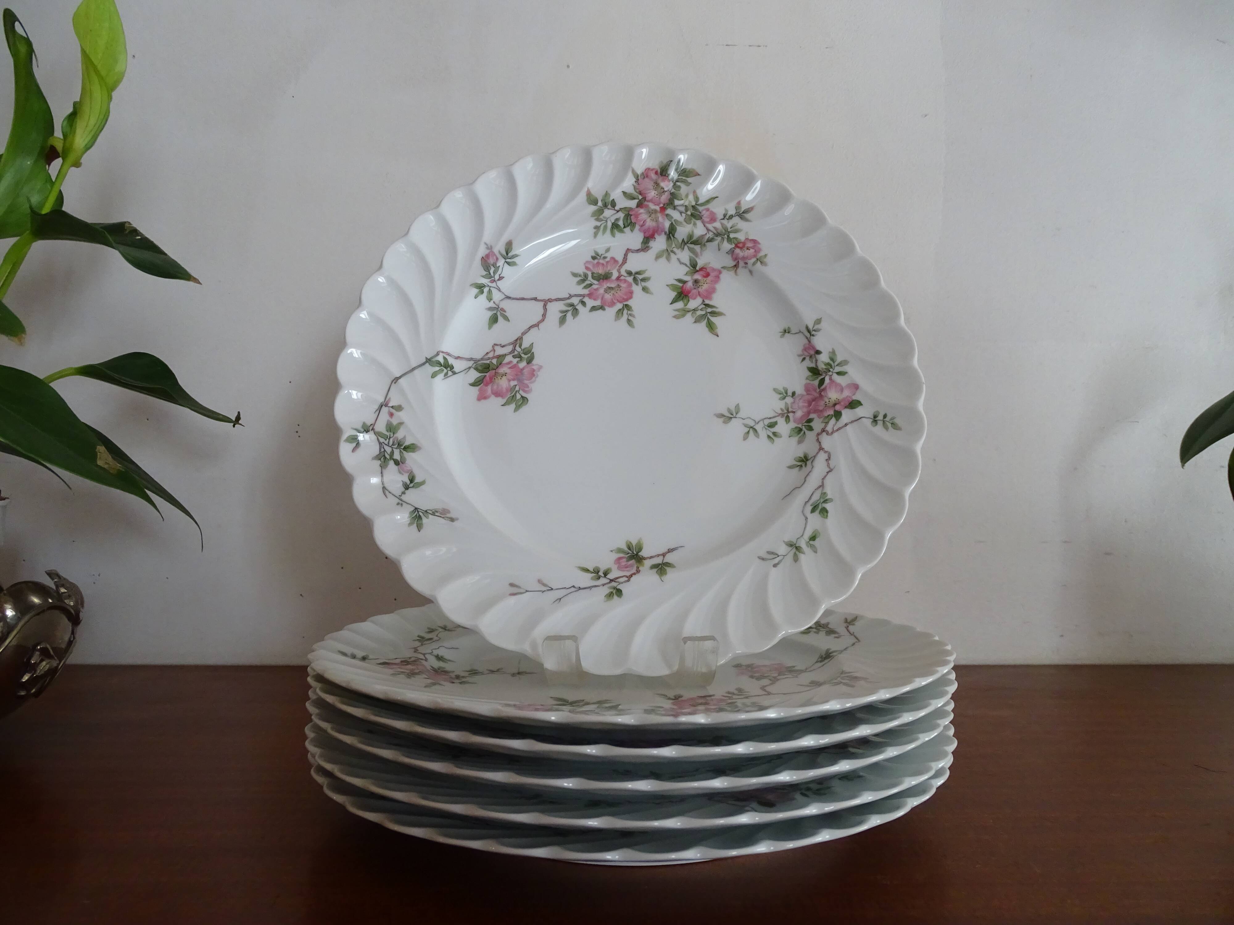 6 flat porcelain plates Limoges Haviland