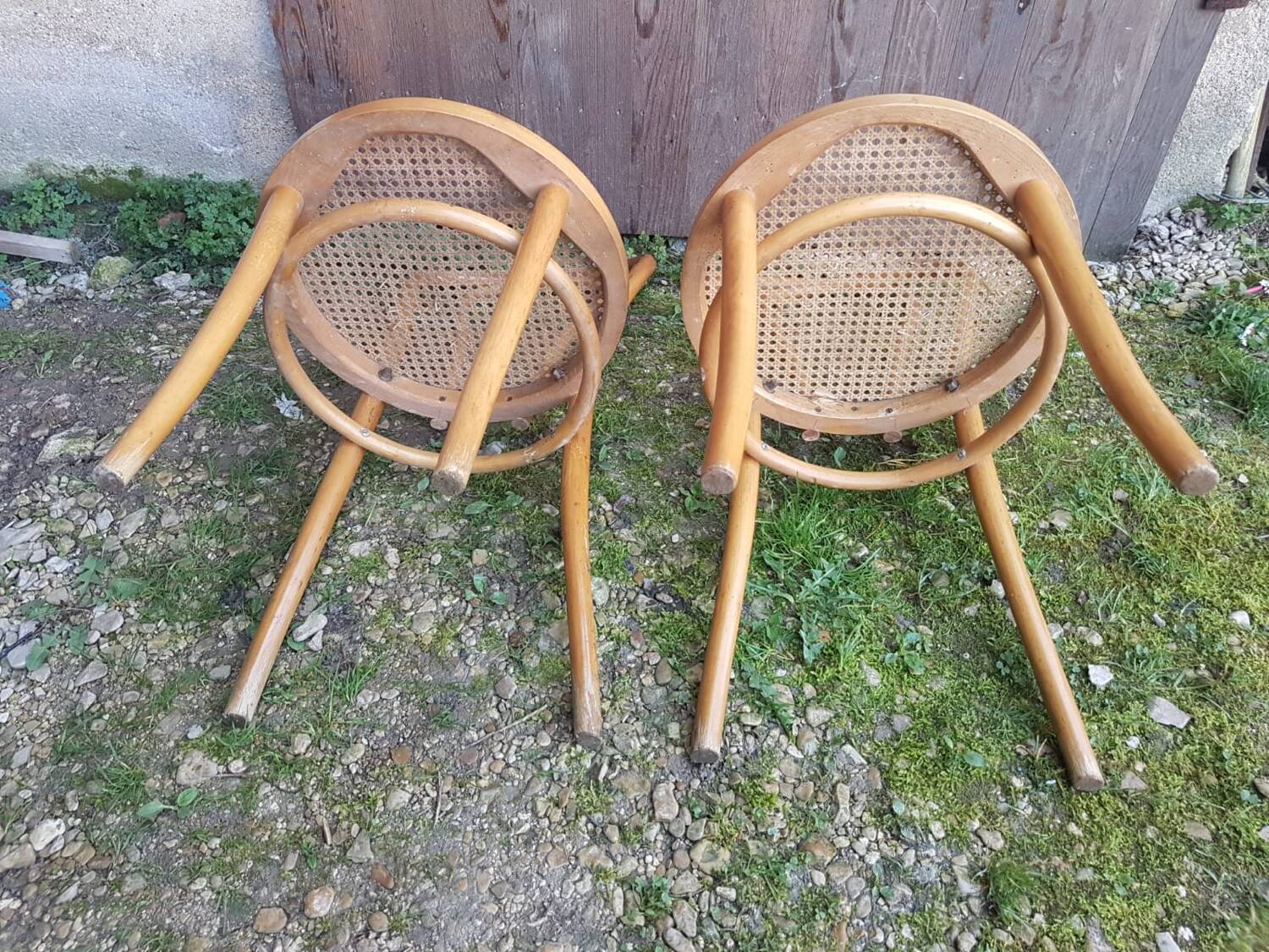 Pair of thonet style bistro chairs light curved wood + cane seat