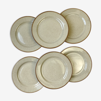 6 flat plates in speckled beige sandstone