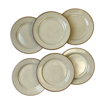 6 flat plates in speckled beige sandstone