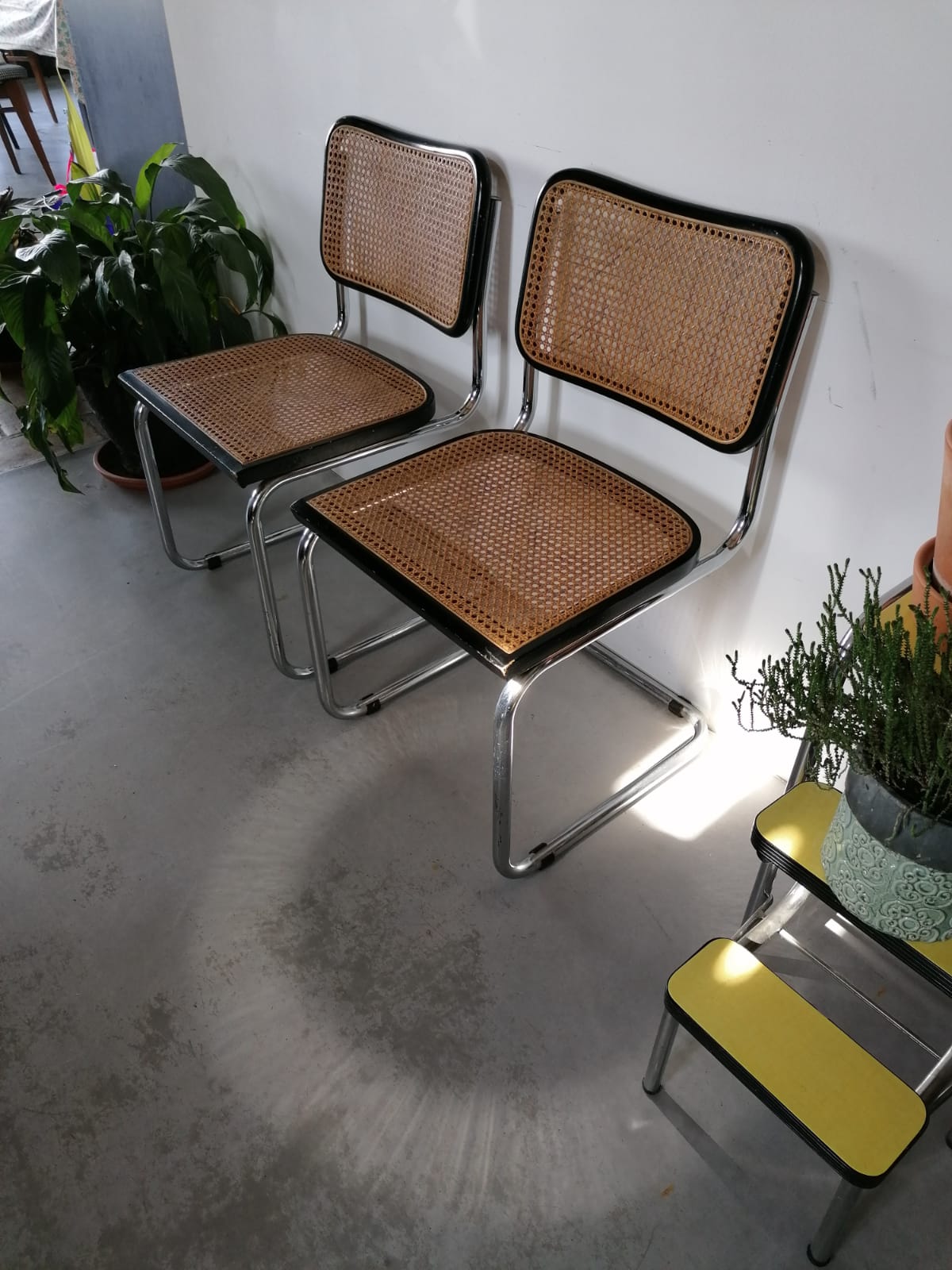 Pair of chairs Marcel Breuer B32
