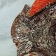 Large vintage fish platter Vallauris – Ceramics – 1960s