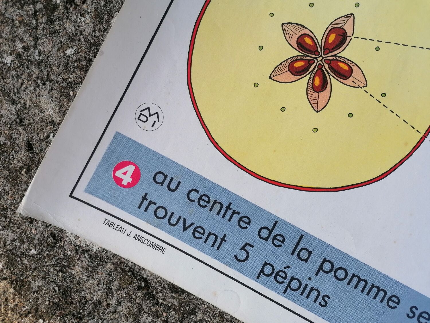 Old MDI poster "The leaves-The apple".