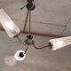 Brass three-light chandelier with glass tulips - 1950s/60s