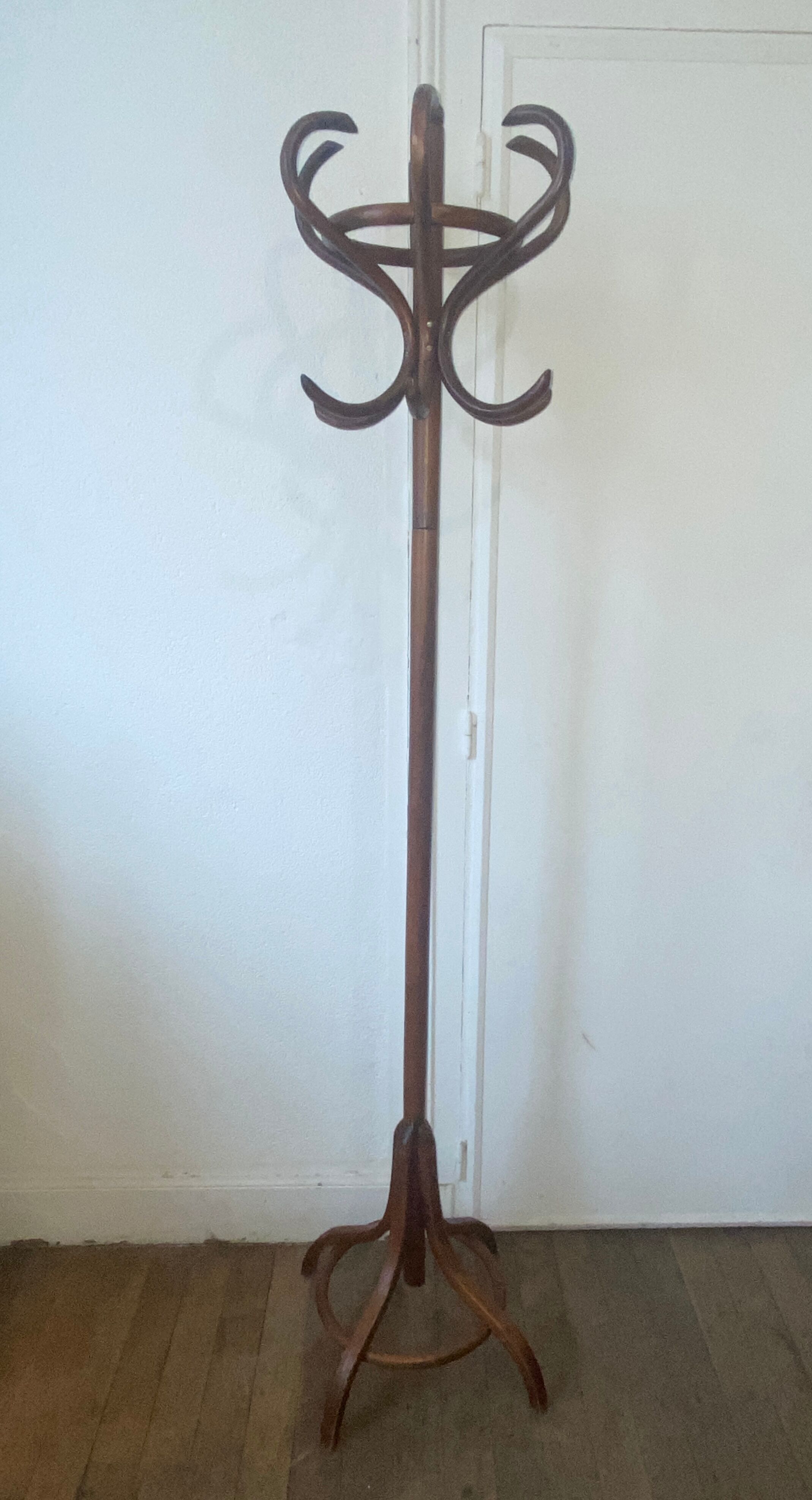 Coat rack parrot wood curved