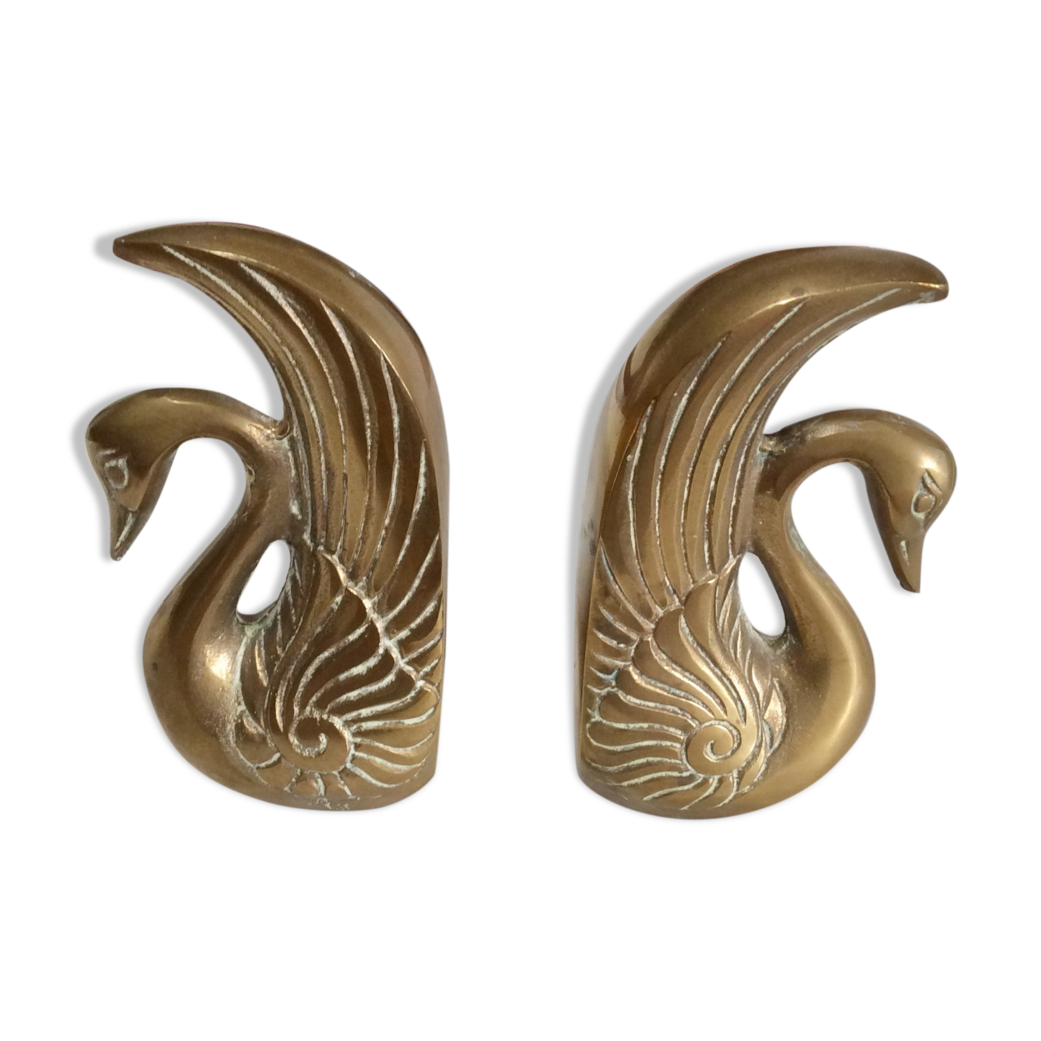 Pair of greenhouse books swans