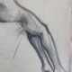 Female nude drawing
