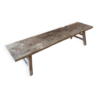 Old bench in elm
