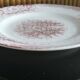 2 anciennes assiettes plates à fleurs rose poinçonner terre de fer hamage st amand "jardinière"