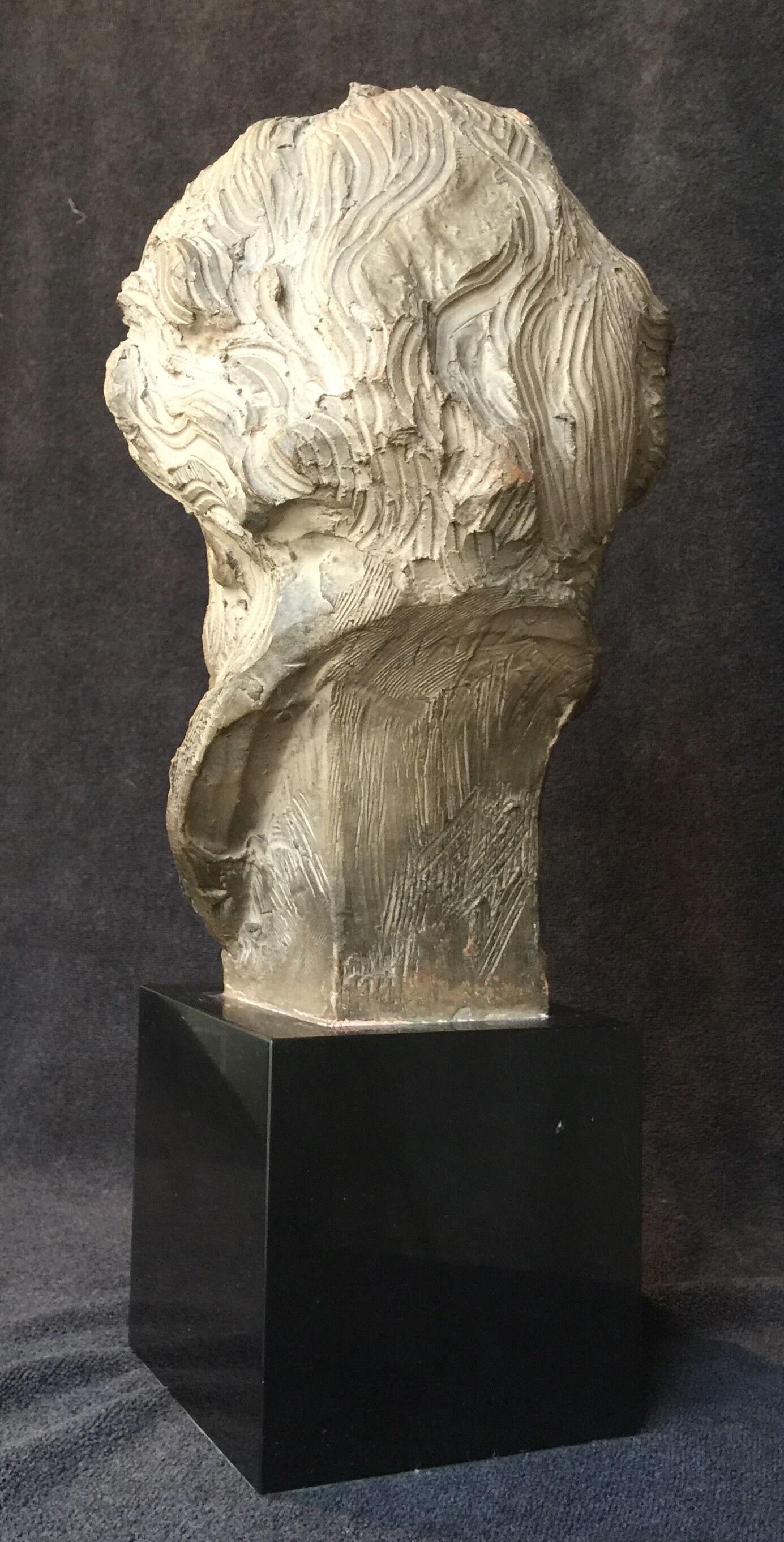 Bust of Richard Wagner by Fernand Cian (edition)