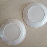 Set of 2 iron earth plates