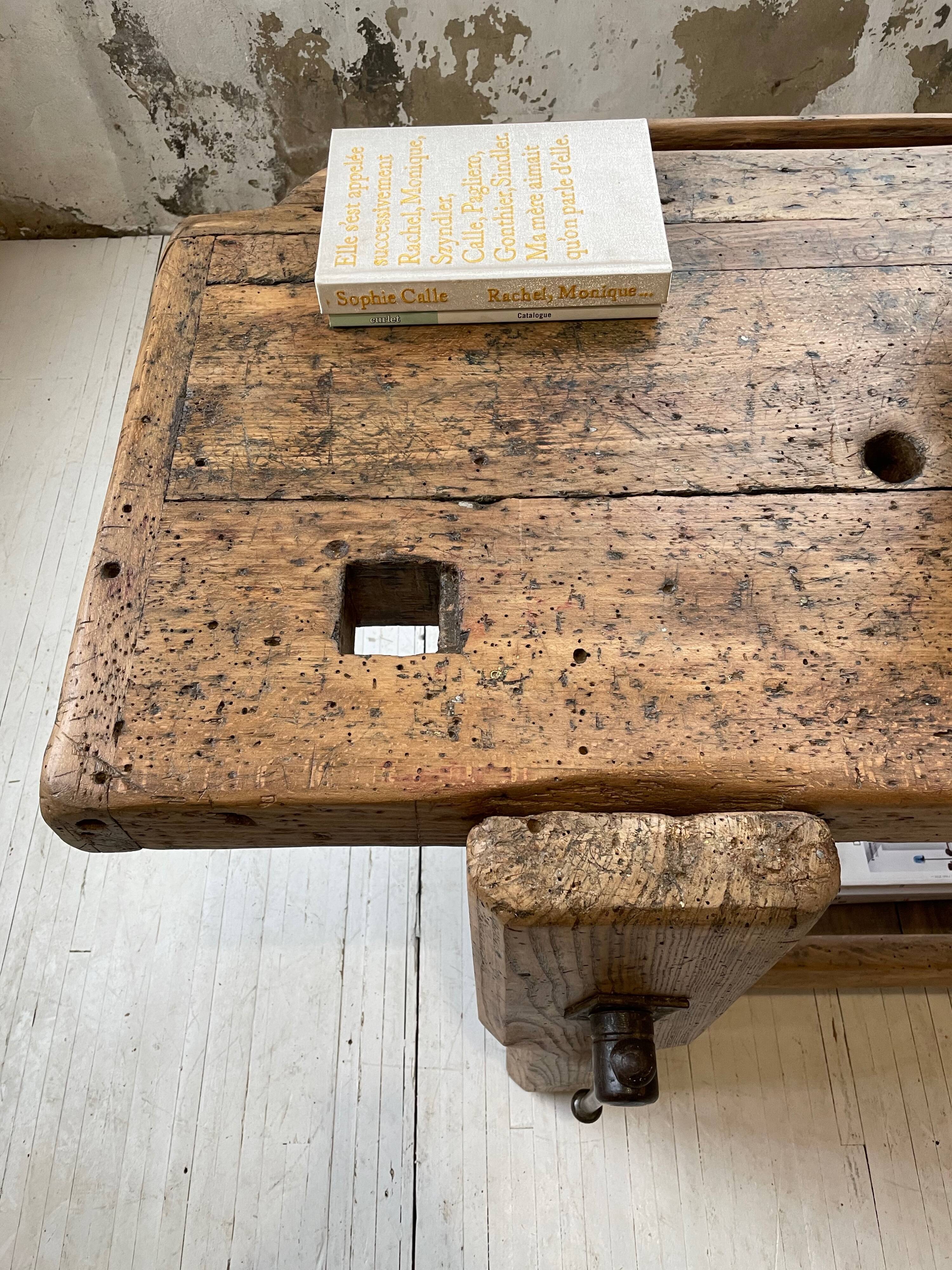 Established old oak XL