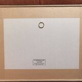 Old Print Engraving 19th Century Shadowed Notebook Nose - Bertrand Reverdin Coindet