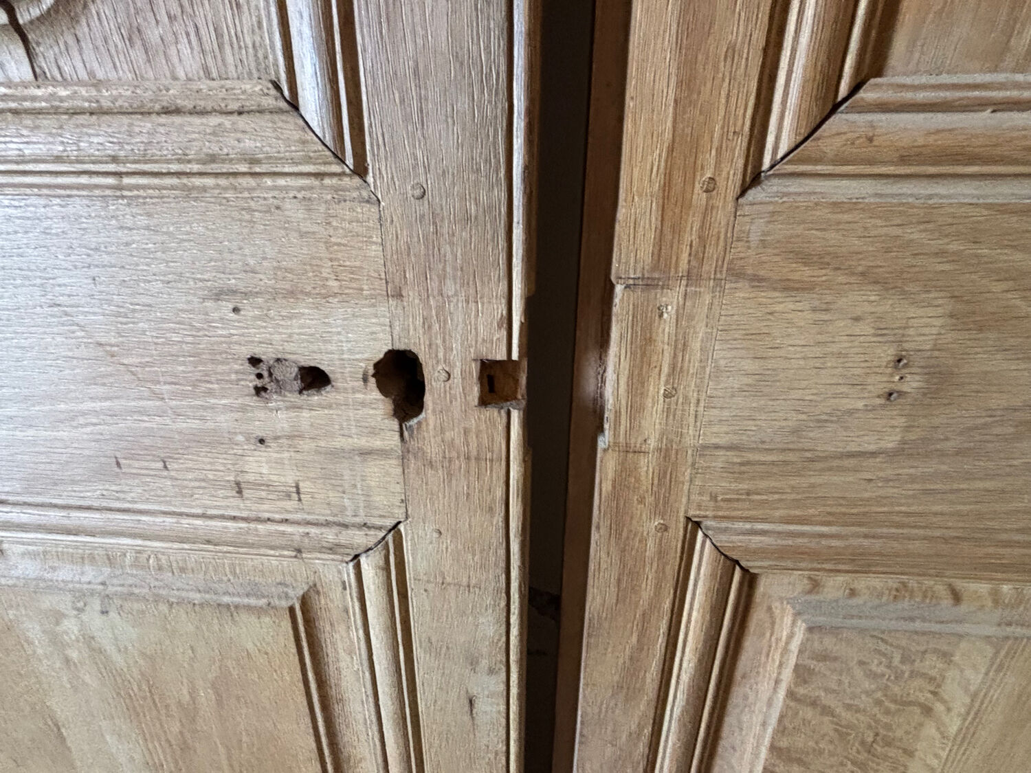 Double doors in solid oak