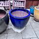 Large glazed ceramic flower pots – perfect for terrace or