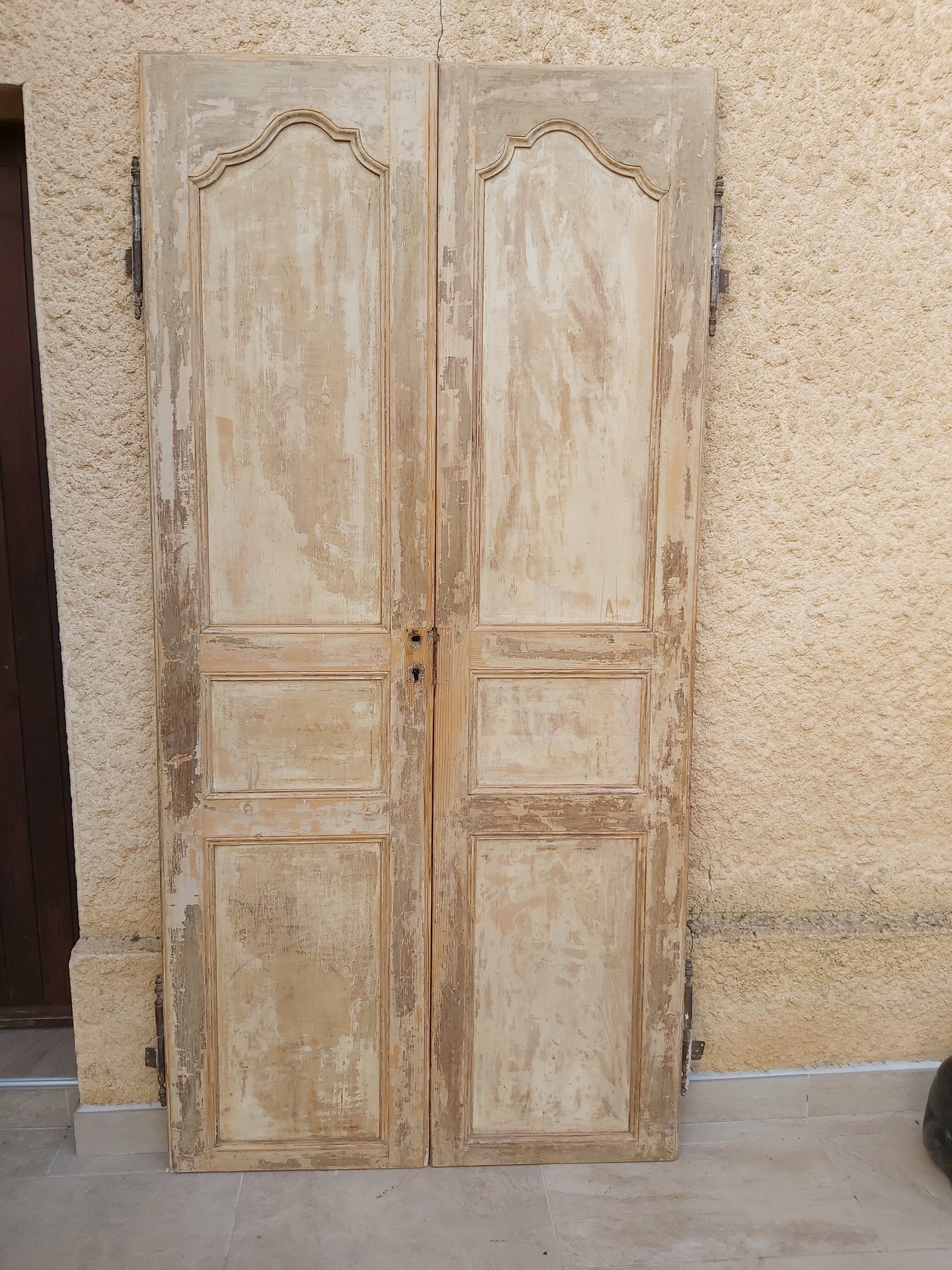 Pair of 18th century doors