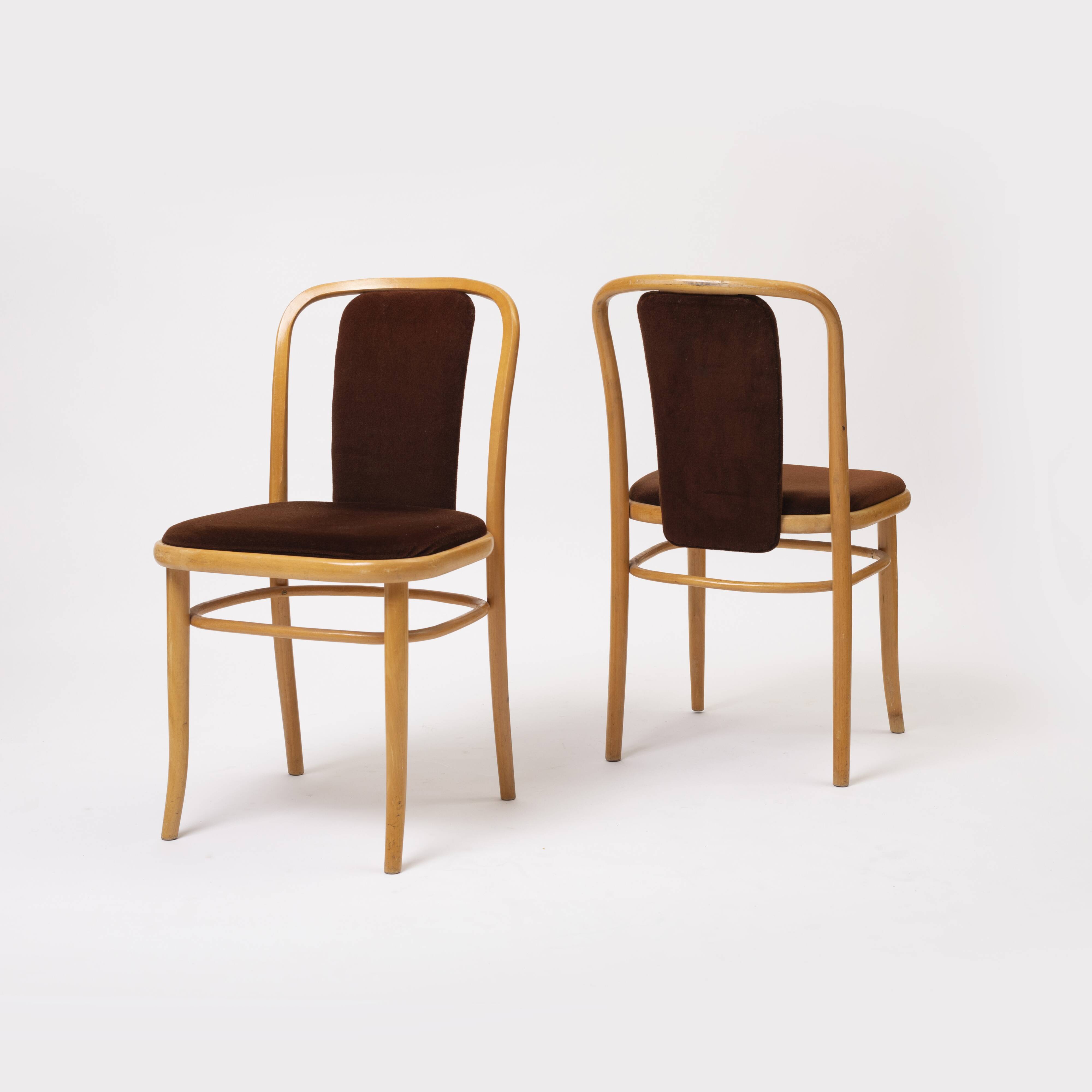Set of 2 bentwood chairs in brown velvet by TON