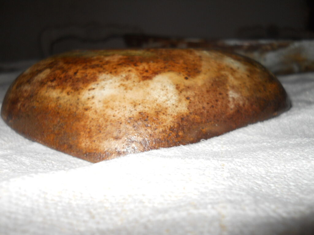 Alexander kostanda 1950 the horse Camargue